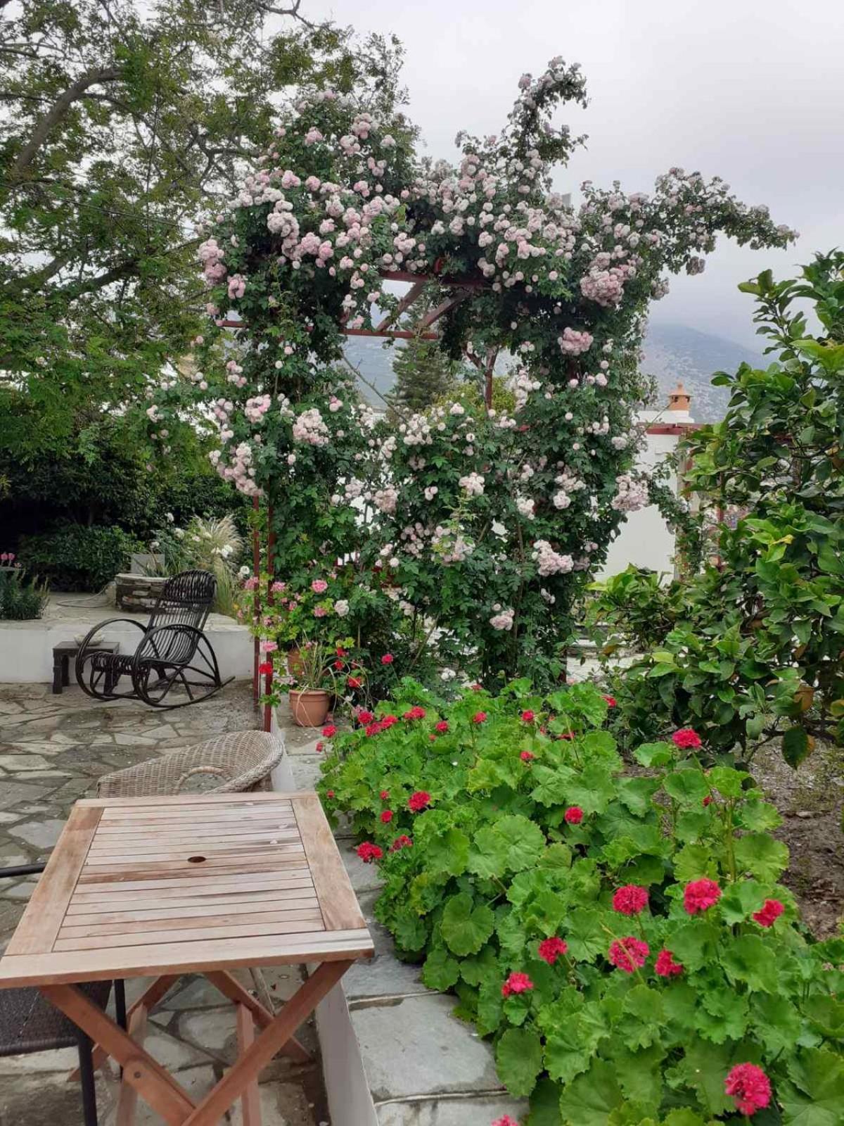 Appartamento Kipos Apollonía Esterno foto